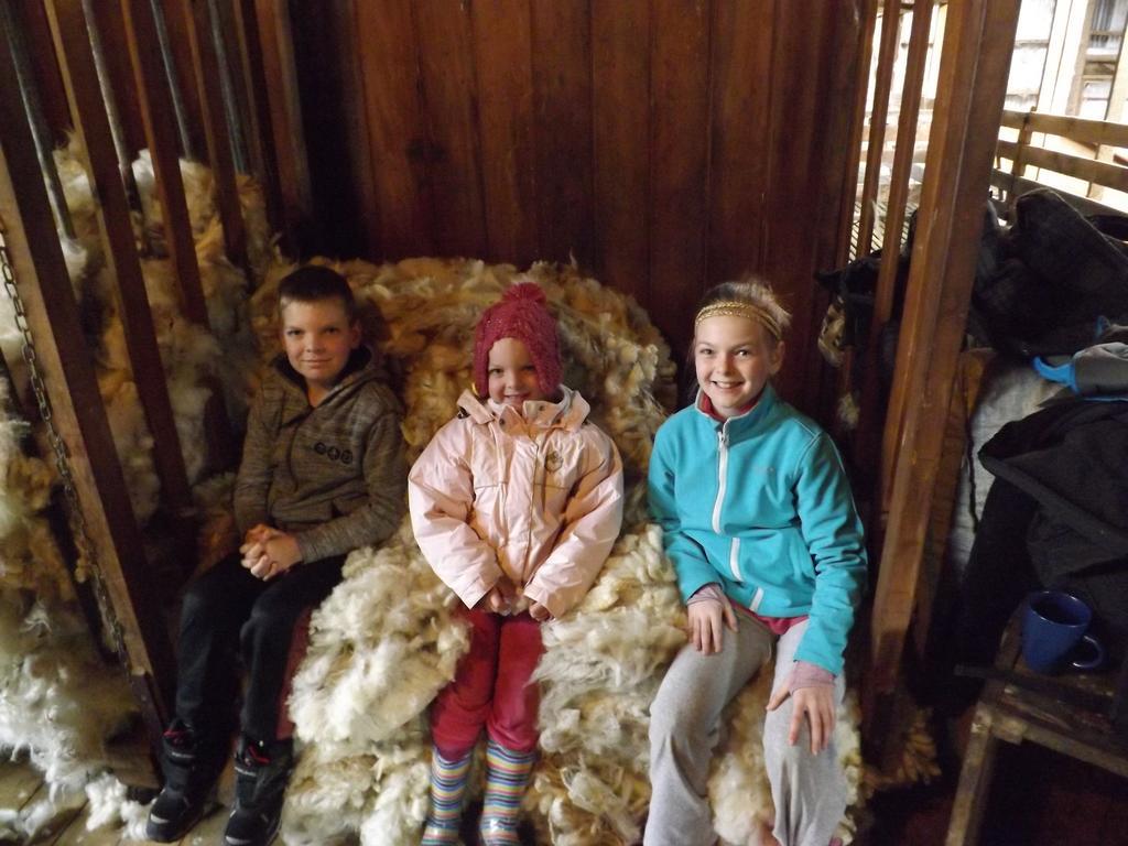 Karetu Downs Farm Stay Hawarden Kültér fotó
